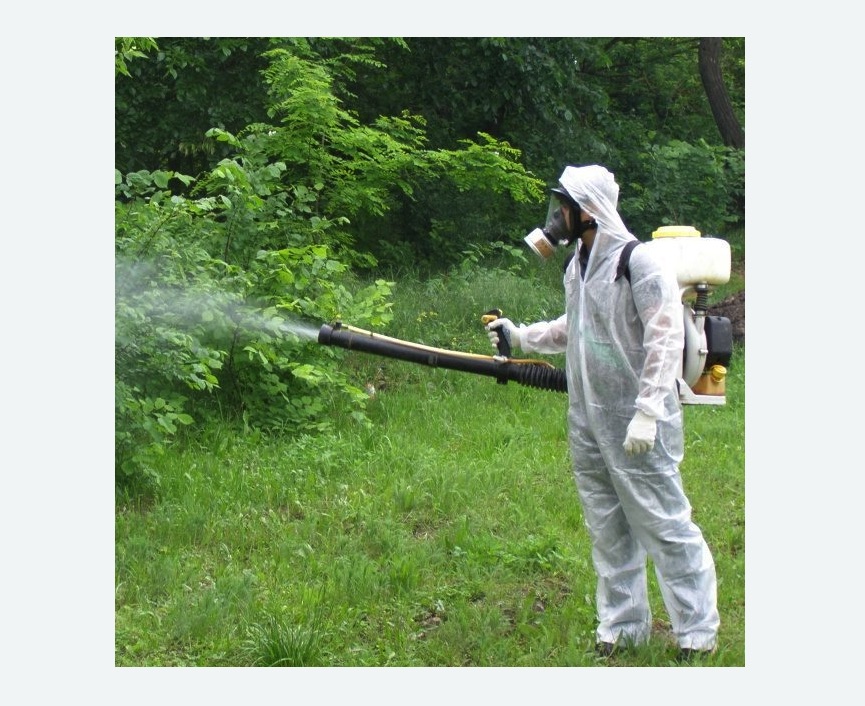 обработка территории от клещей в Пучеже