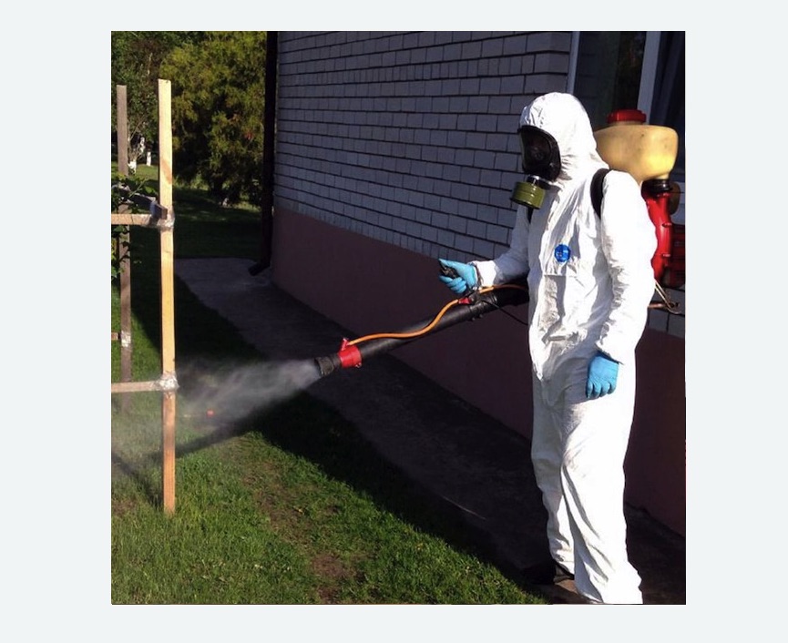 травля клещей на участке в Пучеже