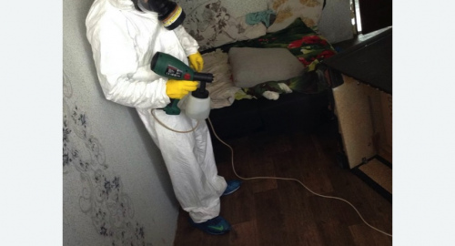 Обработка квартир от насекомых в Пучеже