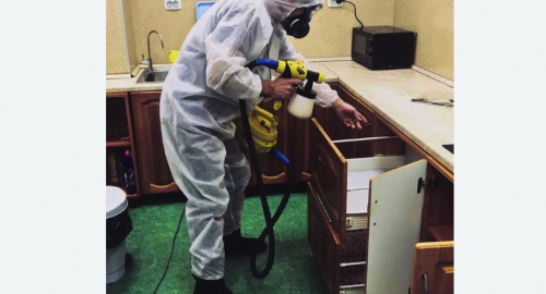 Дезинсекция квартиры. Пучеж