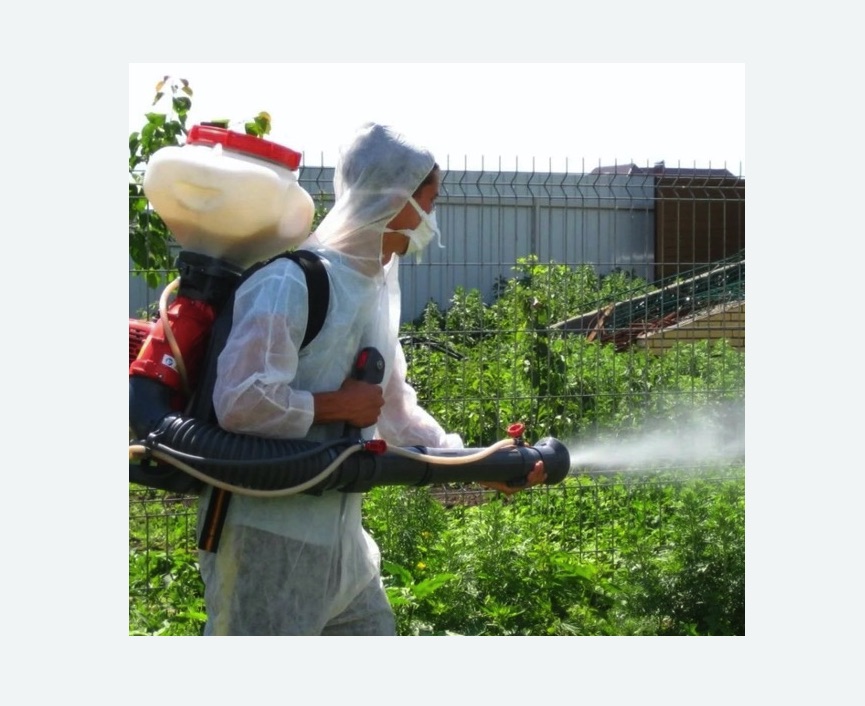 Акарицидная обработка территории в Пучеже