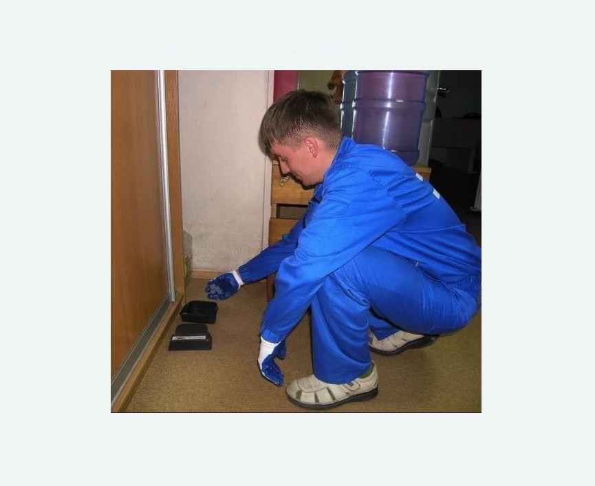 Дератизация крыс в Пучеже