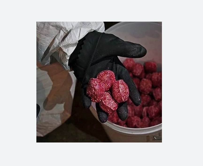 Обработка от крыс в Пучеже