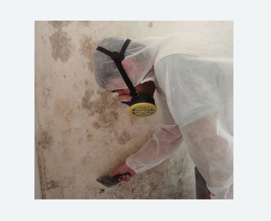 Обработка стен от плесени в Пучеже