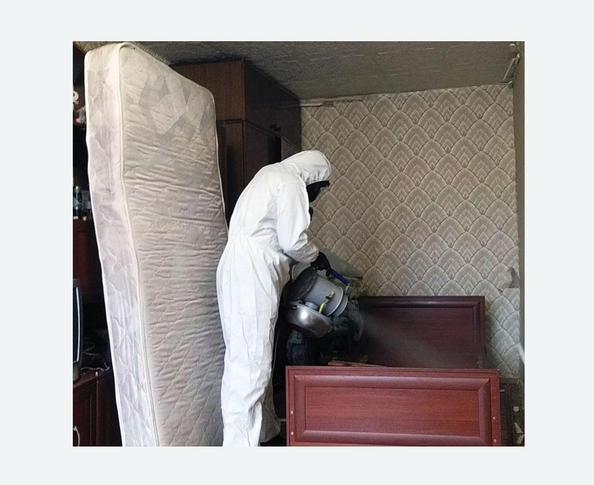 дезинфекция от клопов в Пучеже