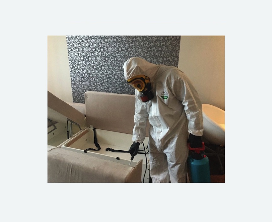 уничтожение клопов в квартире в Пучеже