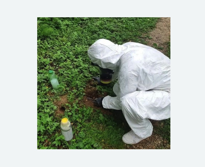 уничтожение кротов на участке в Пучеже