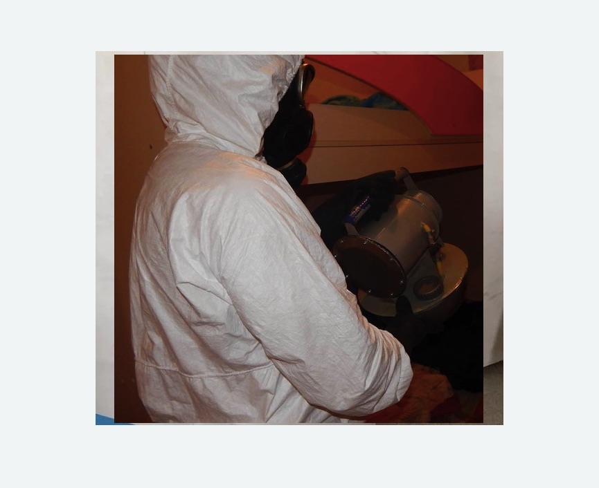 Дезинфекция от муравьев в Пучеже