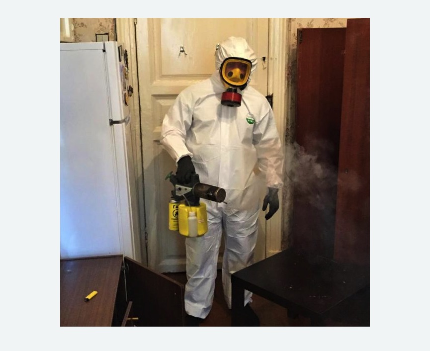 уничтожение муравьев в квартире в Пучеже